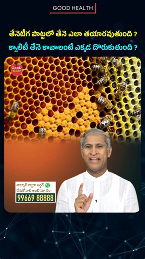 65K views · 964 reactions | Secret Process: Honey Formation Inside Bees - Dr Manthena Satyanarayana Raju #Honey #bees #DrManthenaSatyanarayanaRaju #goodhealth | Good Health | Facebook
