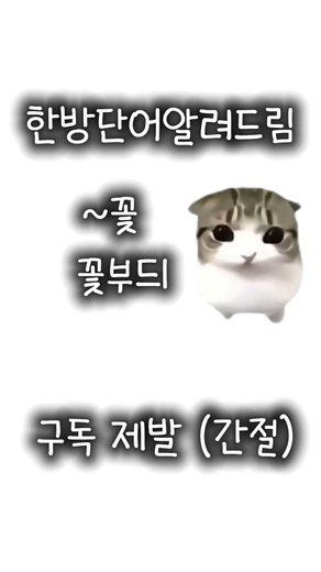 절대 모르는 한방단어 마지막까지 꼭 보세요 ‼️ #출처 #PPADA #영상