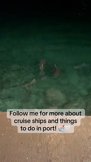 Another things to do in port reel featuring Freeport in the Bahamas! 🇧🇸 We were here overnight and got the chance to feed some sharks from the patio of a great restaurant called Pier One. If I had been there during the day I would’ve considered a shark dive for sure! 🤿 Feedings take place in the evening at the restaurant generally at 7, 8 and 9pm. #Bahamas #BahamasCruise #bahamasvacation #freeport #cruise #cruising #cruiseship #cruiseport #cruiseships #ship #ships #shiplife #cruiselife #cruis