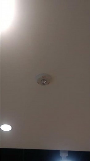 System Sensor Spectralert Advance PC2W Horn Strobe