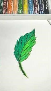 leaf 🌿 drawing with oil pastels/ easy leaf drawing #drowing #art #leafdrawing #Anshukalacreations