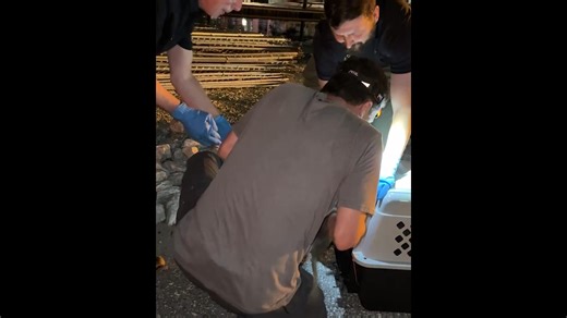 29K views | DNR Response to oil spill in Baltimore on the evening of June 4, 2025. | Maryland Department of Natural Resources | Facebook