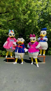 25 reactions · 3 comments | 閭 Meet our full Duck Squad! From classic...