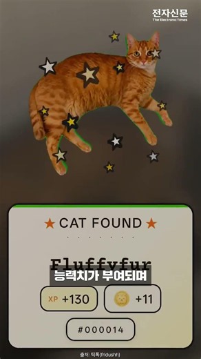 “길고양이를 포켓몬처럼 포획한다?” 고양이 수집 앱 등장