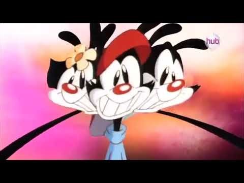 Animaniacs Hub Network Theme Duet (Solomon Version)