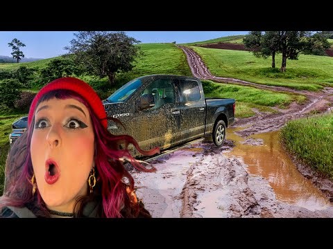 I didn't think I would make it out of this...