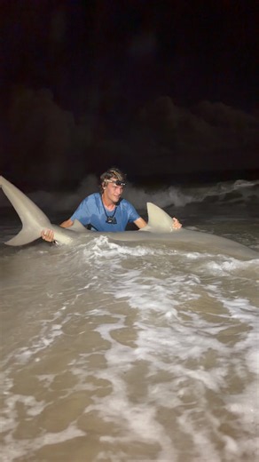 We caught this Giant Bull Shark fishing off the Beach! #fishing #sharks #sharkfishing #bullshark