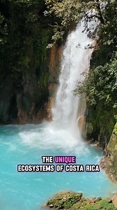 The Unique Ecosystems of Costa Rica #naturelovers #naturephotography #Nature #nature #forest | The Beauty All Around Us | Facebook