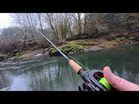 Last Light Steelhead To Save The Day! (First Steelhead On My Lamiglas)