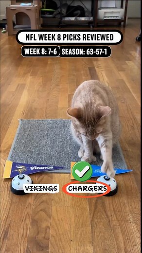 Here’s my NFL week 8 picks reviewed! Did I pick your team? #nfl #nflpicks #cattricks #SimbaWithTheThumbs #orangecat | Jeffrey Horste