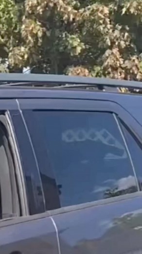 26M views · 431K reactions | https://www.facebook.com/Sandratiendaderegalos?mibextid=ZbWKwL | Sandra Gonzales | Facebook