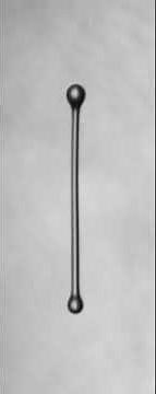 The fate of a thin liquid filament