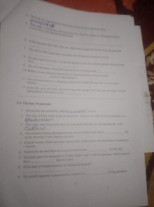 Nematodes are commonly called __ worms.The type of body cavity... | Filo