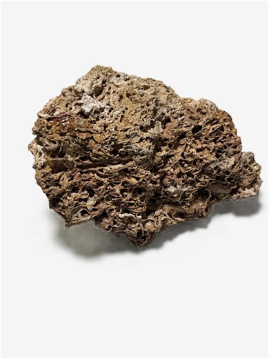 Medium Tufa Rock: Natural Aquarium Aquascaping Stone Aquariums, Terrariums, or Decor - Etsy