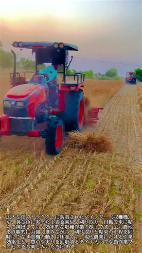 【小麦収穫】トラクターとバインダーによる効率的な刈り取り＆結束作業 #worker #process #harvest #tractor #agriculture