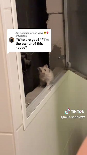 Meet Pam, the Owner of Meme House