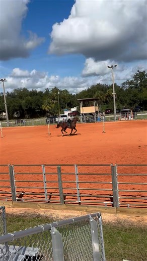 The dressage girl can do other things 🔥💃🐴 First place with my race horse 🥇 | Sierra Sanders