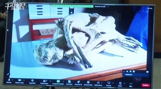 墨西哥展示疑似“外星人”遗骸X光片 称其为非人类干尸曾是活物