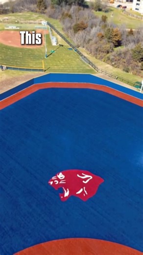 RAINBOW baseball fields 🤦🏼‍♂️ #baseball #baseballfield #baseballboys #baseballtiktoks #baseballlife