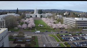 13K views · 353 reactions | Spring has sprung in Salem!  Now is a great time to visit the Oregon State Capitol! | Travel Salem | Facebook