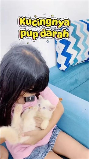 KUCING SAKIT DOMINIC PANICC #viralvideo #funny #trend #lucu