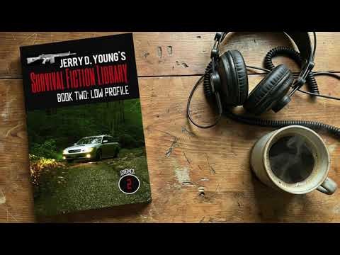 Low Profile: Survival Fiction Library Book 2 by Jerry D Young