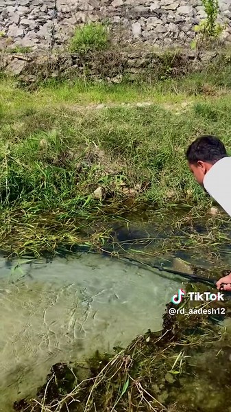 Exploring Underwater Beauty in Nepal