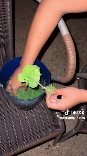 Cómo hacer árboles para tus maquetas fácilmente