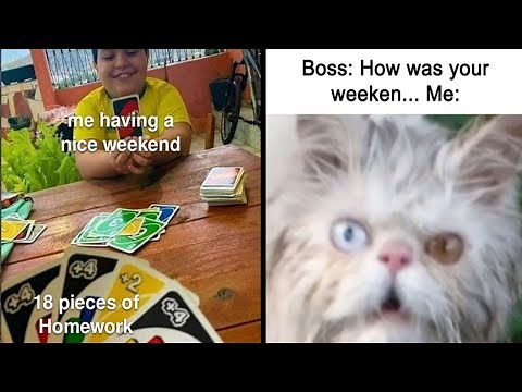 The Wittiest And Smartest Weekend Memes To Make Your Day