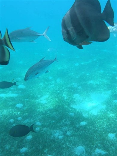 Ruby May on Instagram: "aYo, its me, holibobs rubes ✨️"