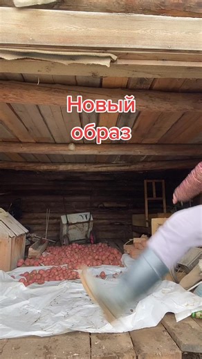 Rustic Indoor Potato Storage Ideas