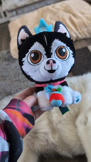 10K views · 345 reactions | Today is the last day for you to get your ice princess Kira plushie. if you haven't done so yet, there is a link you know where! This is probably my favorite one we have done so far as it's so stinking cute! so you guys should definitely go grab one!! and as a bonus you get to see our dog Memphis doing these amazing tipper tappers because she's so excited! #siberianhusky #snowdogs #dogs #lifewithahusky #iceprincess | Gone to the Snow Dogs | Facebook