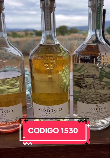 Experiencia Tequila: Tour en CODIGO 1530