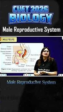 Male Reproductive System in 1 Shot 🔥 CUET Biology 2026 #biology #biologyclass12 #cuet #reproduction