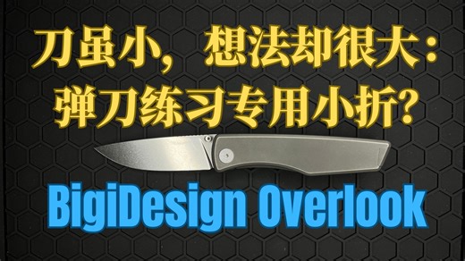 刀虽小，想法却很大：弹刀练习专用小折？ —— BigiDesign Overlook