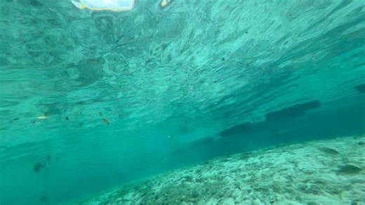 Mike Mcqueary on Reels