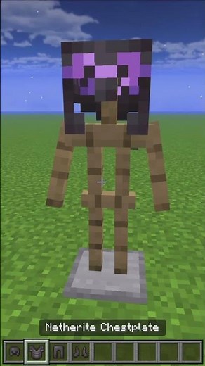 Minecraft Best Amethyst Armor Trim? #minecraft #armortrim