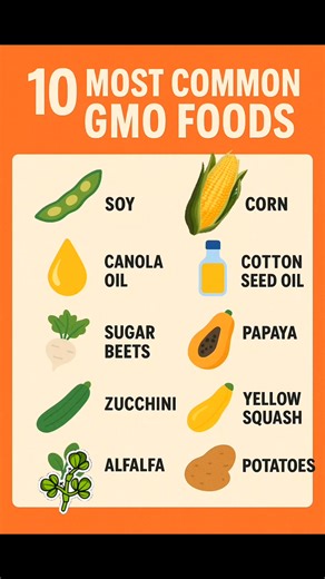🚫 Hidden GMOs are everywhere! Even in “healthy” foods 😳 10 Most Common GMO Foods (to watch out for) Soy – found in tofu, soy milk, and most processed foods. Corn – used in corn syrup, chips, cereals, and even sodas. Canola Oil – often labeled as “vegetable oil.” Cottonseed Oil – used in many fried or packaged foods. Sugar Beets – used to make most white sugar (unless labeled cane sugar). Papaya – many from Hawaii are genetically modified. Zucchini – certain varieties are GMO to resist viruses.