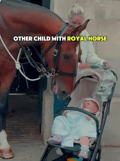 King’s Guard Horse Shows Kindness to Children ❤️🐎