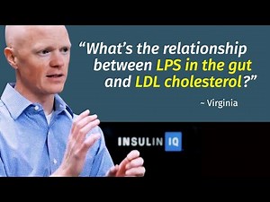 What is the relationship between LPS and LDL cholesterol, and why is it important for immune health?