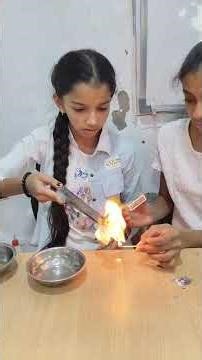 SAI GROUP TUITION SCIENCE PROJECT