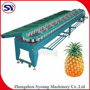 [Hot Item] Advanced Electric Fruit Selecting Weight Grader Machine with Best Price