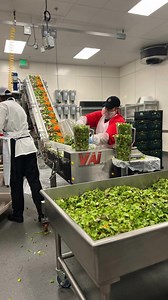 🫑 The Food Literacy Center team visited the Central Kitchen for a tour of their amazing facility, which feeds thousands of students every day, all with a focus on fresh foods and healthy eating! Special thanks to Diana Flores for hosting us! | Food Literacy Center