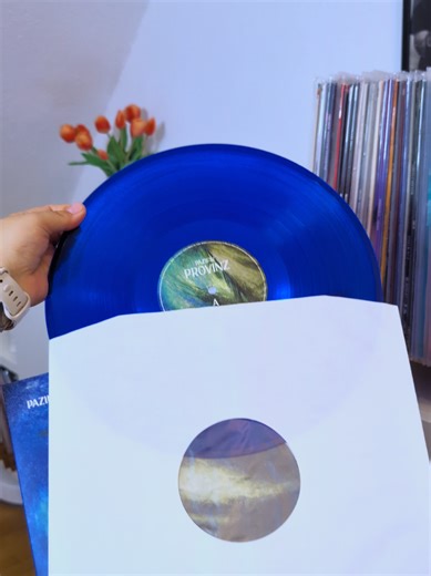 Discover the Latest Addition to My Vinyl Record Collection