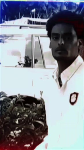 #eritrean_music🎶🎶