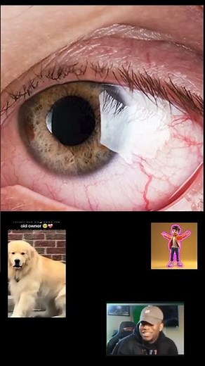 What will happen if fevikvic enters your eyes, amezing fect video 😱 #reaction #tech #dailyv #reactio