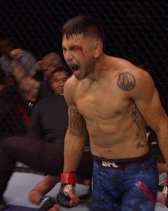 1.1M views · 3.1K reactions | From Dana White's Contender Series to #UFC255! This is the relentless rise of Alex Perez... | UFC | Facebook