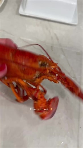 Creative Dinner Ideas for One Person