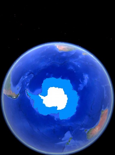 Flowers Blooming in Antarctica: Explained