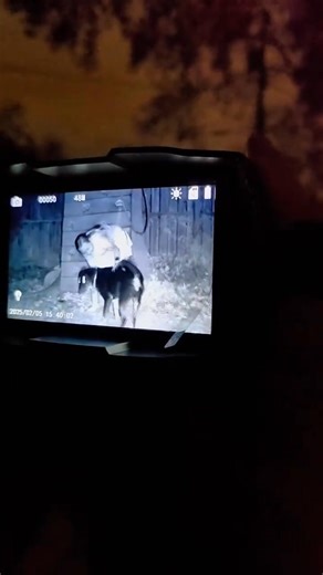 See Clearly in Every Night 🌌 See clearly in the dark with a compact night vision device built for real outdoor clarity. Move confidently, spot details easily, and experience brighter night visibility. 🌙🔭 https://aluxeline.com/10camera-to | Lisa Barham - The Agency